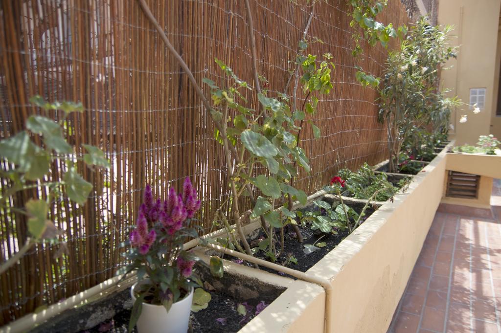 Bcn Home Guest House Barcelona Exterior photo